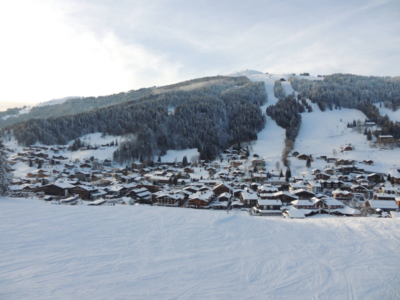 _lv_images__lot_0000000018_14_18058389 _lv_images__lot_0000000018_14_18058389