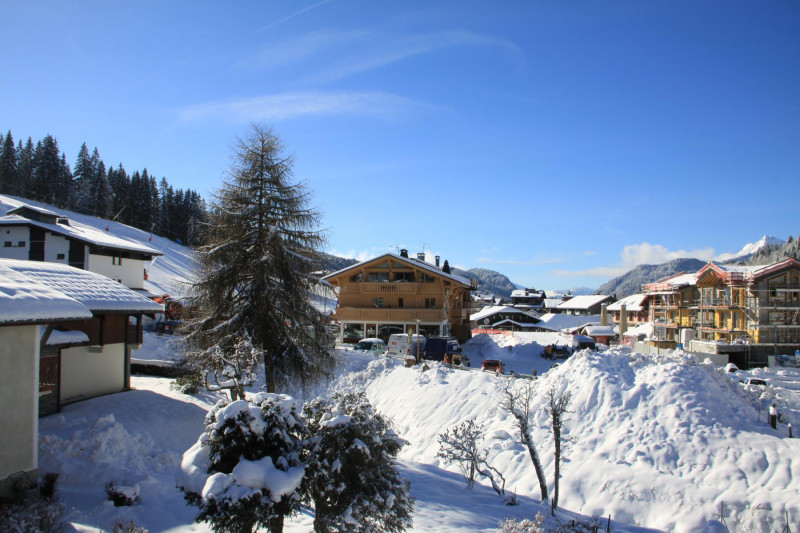 _lv_images__lot_0000000050_10_17642740 _lv_images__lot_0000000050_10_17642740