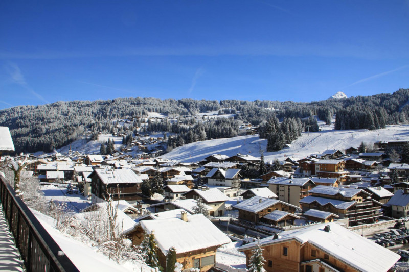 _lv_images__lot_0000000053_10_17651994 _lv_images__lot_0000000053_10_17651994