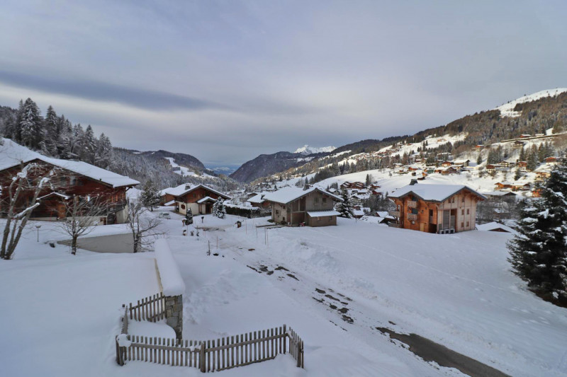 _lv_images__lot_0000000059_13_17642318 _lv_images__lot_0000000059_13_17642318