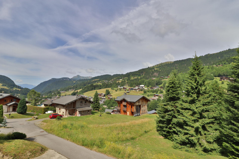 _lv_images__lot_0000000059_16_17651288 _lv_images__lot_0000000059_16_17651288