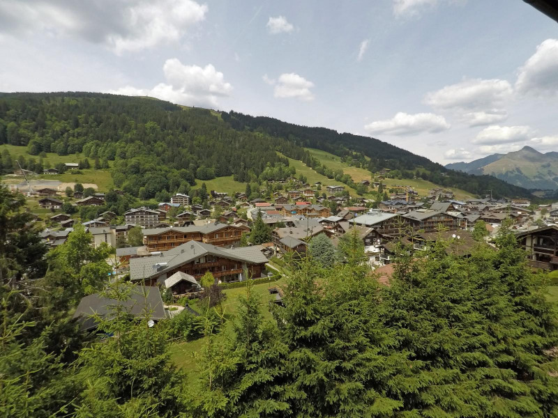 _lv_images__lot_0000000066_14_19617857 _lv_images__lot_0000000066_14_19617857