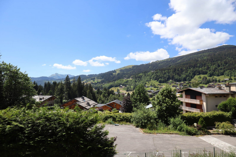 _lv_images__lot_0000000077_10_19190234 _lv_images__lot_0000000077_10_19190234