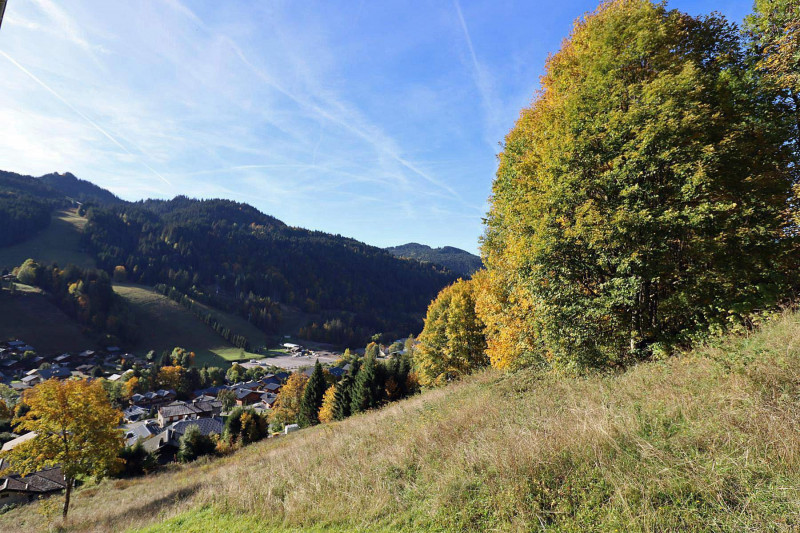 _lv_images__lot_0000000084_11_17979731 _lv_images__lot_0000000084_11_17979731