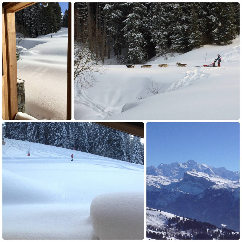 _lv_images__lot_0000000098_07_19167820