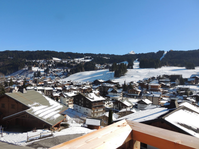 _lv_images__lot_0000000111_04_17656808 _lv_images__lot_0000000111_04_17656808