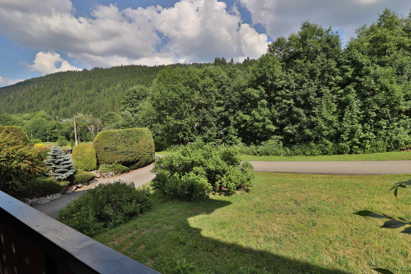 _lv_images__lot_0000000113_11_19124596 _lv_images__lot_0000000113_11_19124596