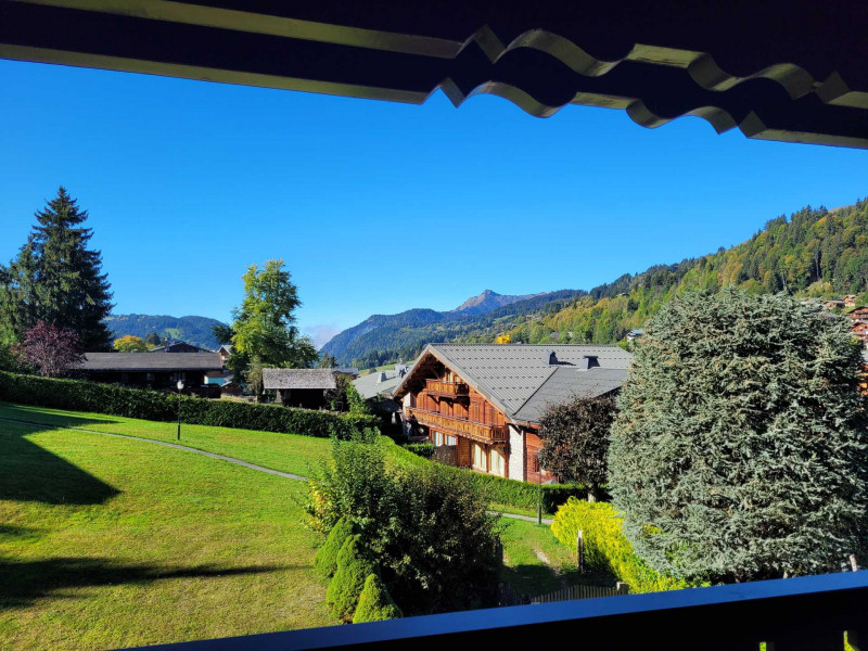 _lv_images__lot_0000000117_04_17974855 _lv_images__lot_0000000117_04_17974855