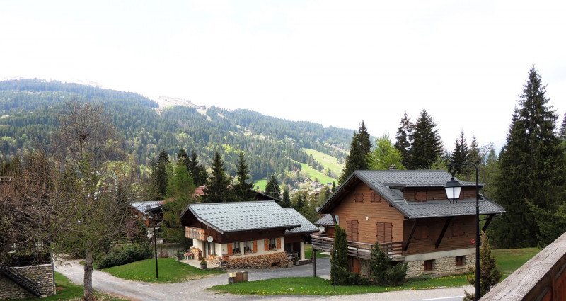 _lv_images__lot_0000000123_13_17875215 _lv_images__lot_0000000123_13_17875215