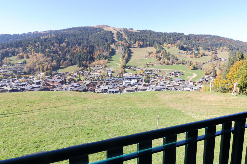 _lv_images__lot_0000000125_12_20449361