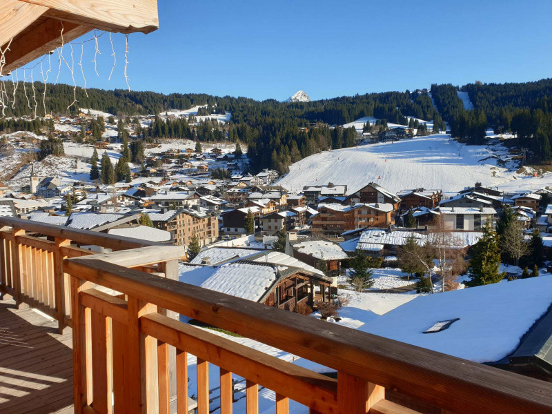 _lv_images__lot_0000000135_13_18153459