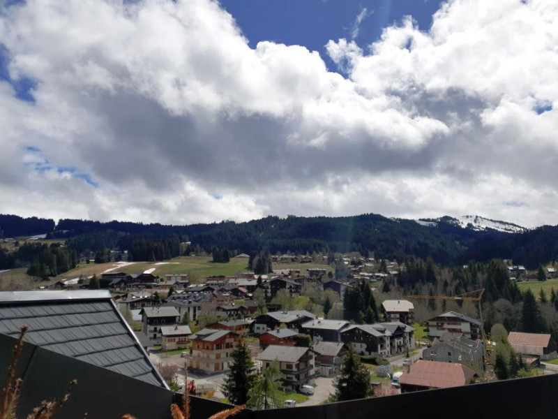 _lv_images__lot_0000000146_08_19623235 _lv_images__lot_0000000146_08_19623235