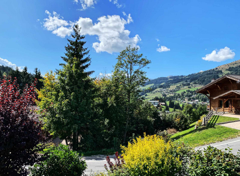 _lv_images__lot_0000000157_04_19119623