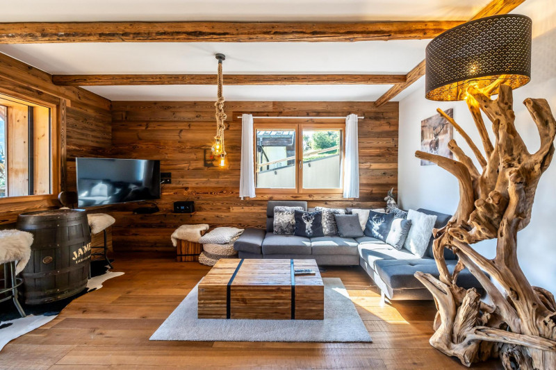 _lv_images__lot_0000000161_08_18125164