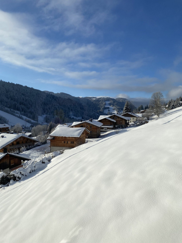 _lv_images__lot_0000000202_09_17657890 _lv_images__lot_0000000202_09_17657890
