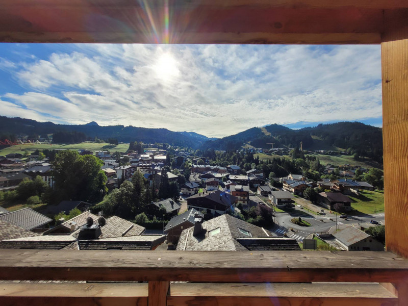 _lv_images__lot_0000000259_15_19120336 _lv_images__lot_0000000259_15_19120336