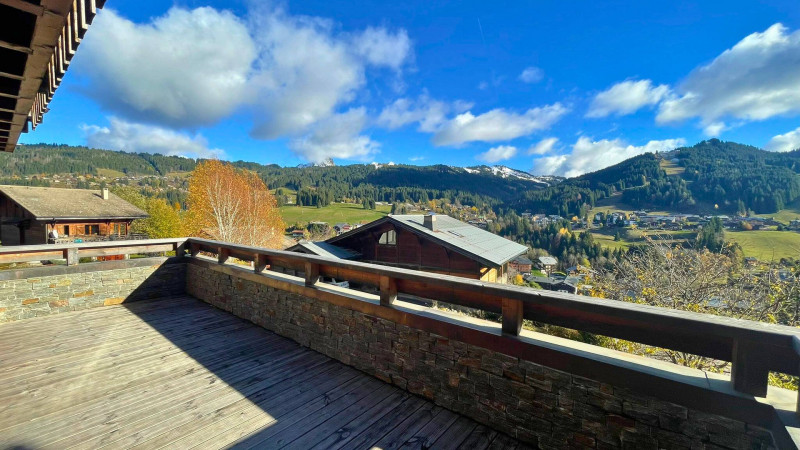 _lv_images__lot_0000000299_15_17884319