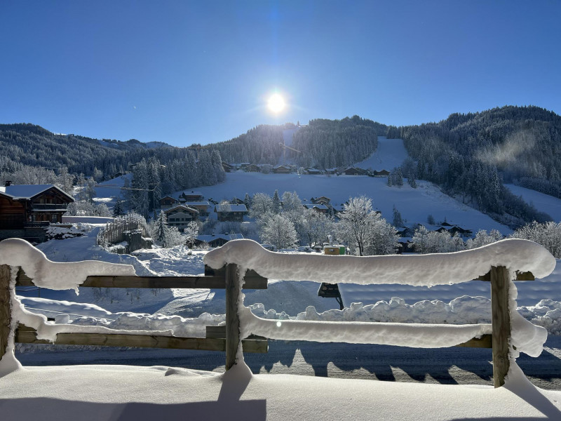 _lv_images__lot_0000120309_08_19380065