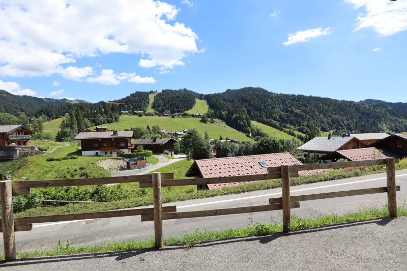 _lv_images__lot_0000120309_11_19295537