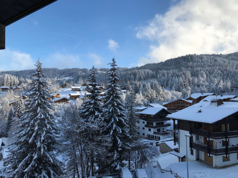 _lv_images__lot_0000320501_15_18087633 _lv_images__lot_0000320501_15_18087633