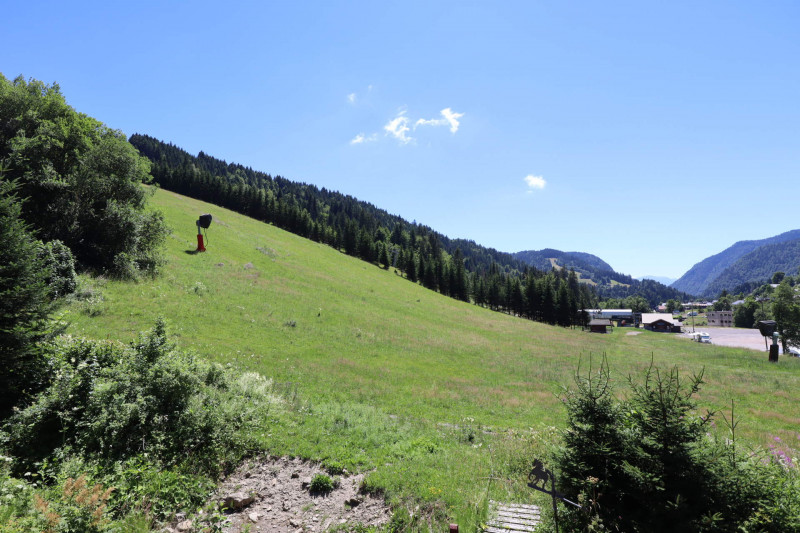 _lv_images__lot_0000370005_12_20438978 _lv_images__lot_0000370005_12_20438978