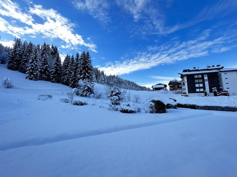 _lv_images__lot_0000400229_08_18079871 _lv_images__lot_0000400229_08_18079871