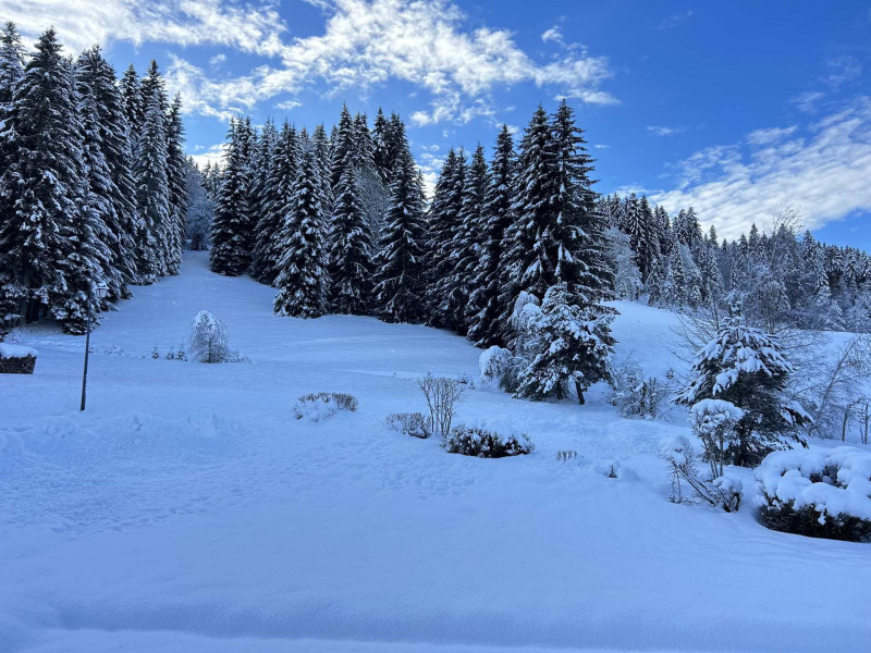 _lv_images__lot_0000400229_09_18079872 _lv_images__lot_0000400229_09_18079872