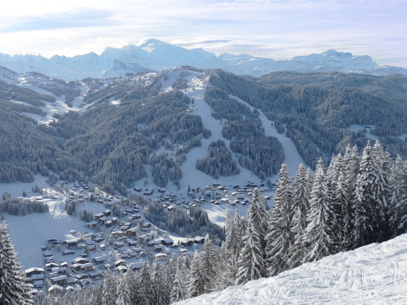 _lv_images__lot_0000520412_10_17667120 _lv_images__lot_0000520412_10_17667120
