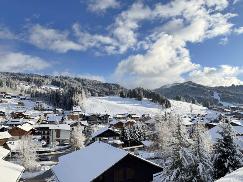 _lv_images__lot_0000550255_08_17640784 _lv_images__lot_0000550255_08_17640784