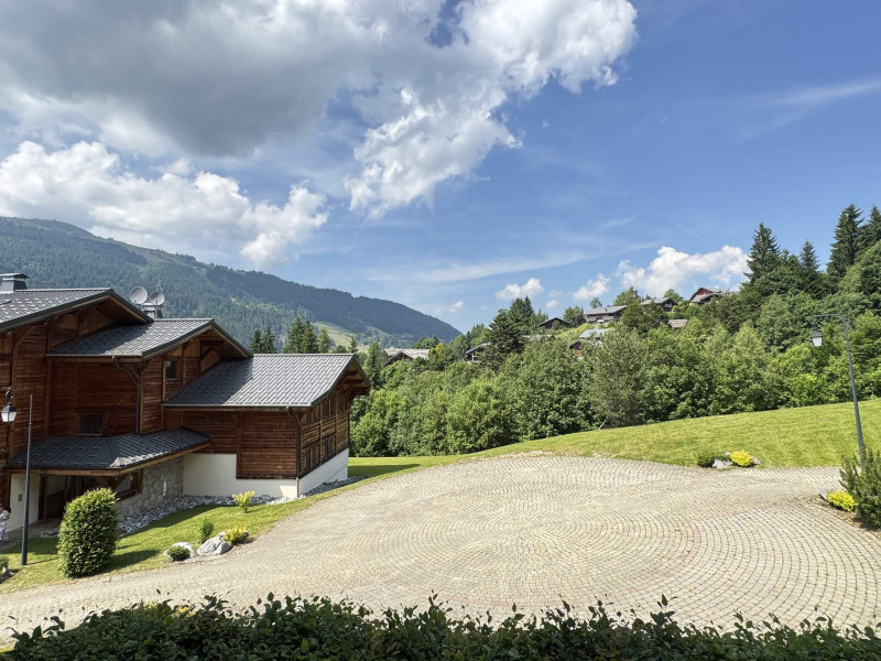 _lv_images__lot_0003300413_14_19219417