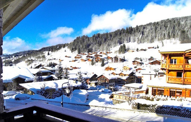 _lv_images__lot_0004140369_09_17677796 _lv_images__lot_0004140369_09_17677796