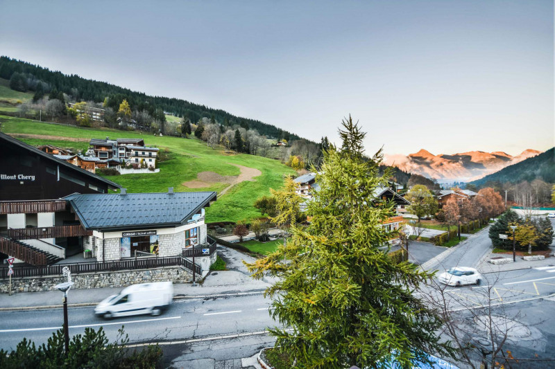 _lv_images__lot_0020302135_13_19262639 _lv_images__lot_0020302135_13_19262639