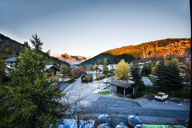 _lv_images__lot_0020302135_14_20443226 _lv_images__lot_0020302135_14_20443226
