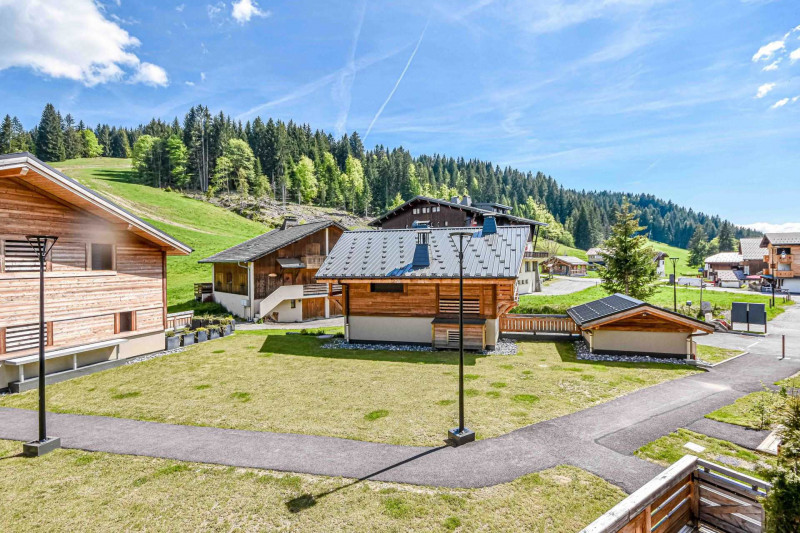 _lv_images__lot_0020392216_13_18481970 _lv_images__lot_0020392216_13_18481970