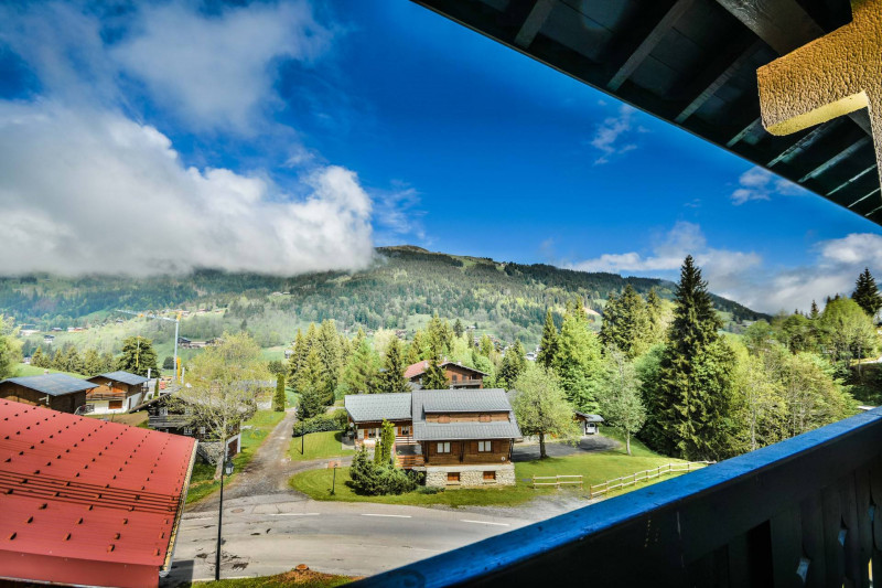 _lv_images__lot_0020392245_04_20433930 _lv_images__lot_0020392245_04_20433930