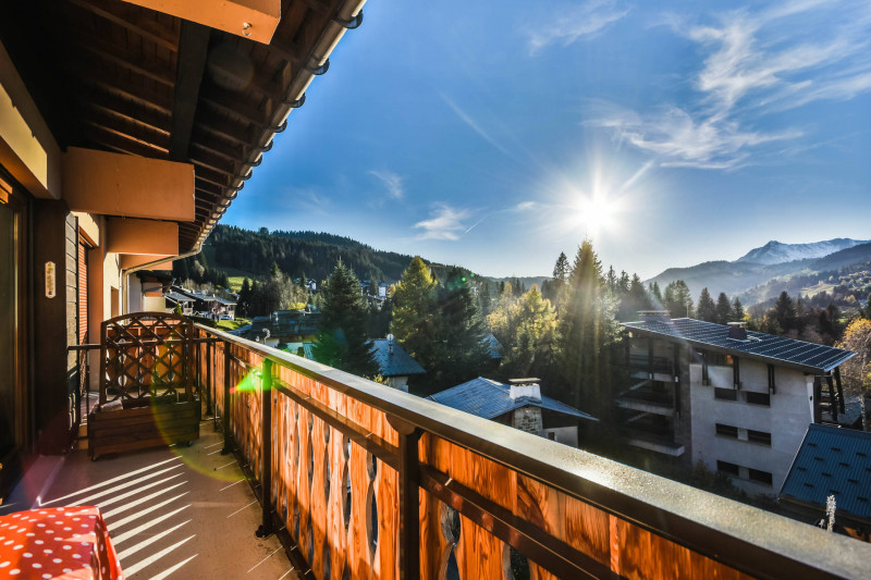_lv_images__lot_0020392294_07_20434464
