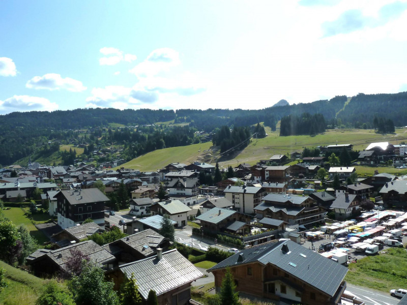 _lv_images__lot_0020392297_13_18160864