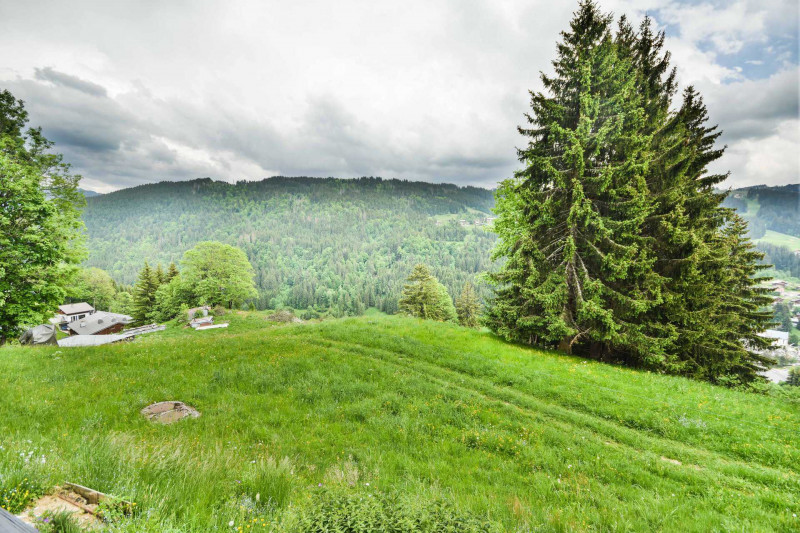 _lv_images__lot_0020392316_09_17691909 _lv_images__lot_0020392316_09_17691909