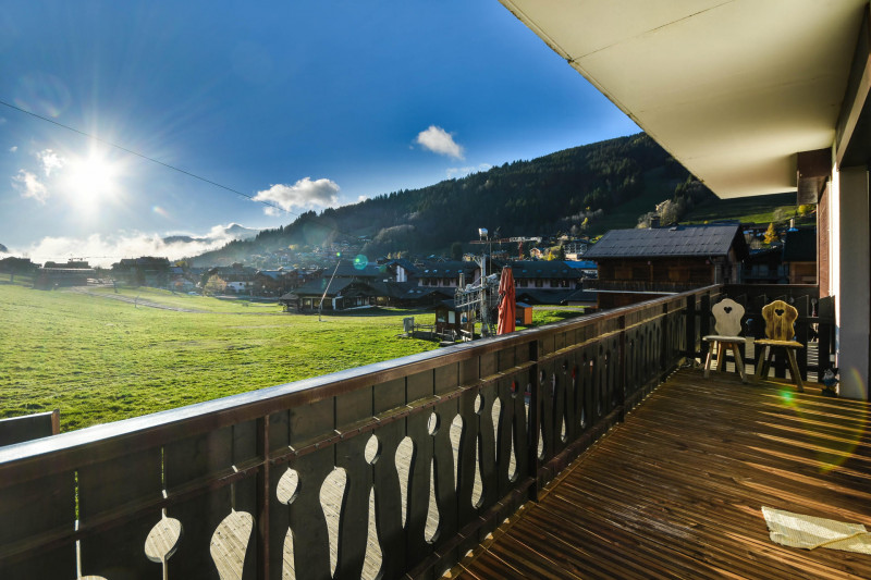 _lv_images__lot_0020392326_13_20433604 _lv_images__lot_0020392326_13_20433604