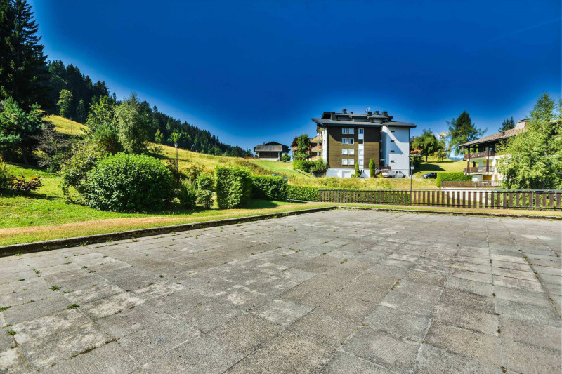 _lv_images__lot_0020392423_11_18151717