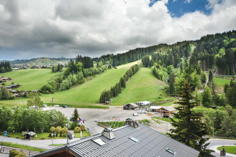 _lv_images__lot_0020392469_15_19117916 _lv_images__lot_0020392469_15_19117916