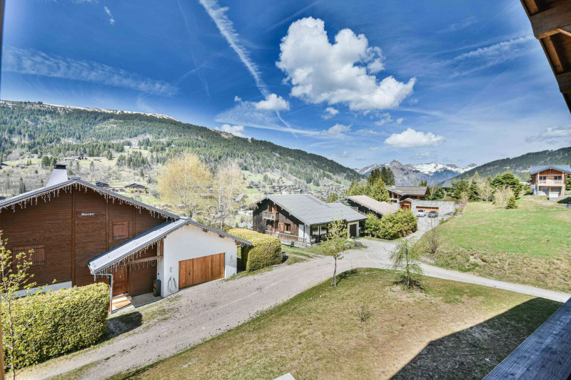 _lv_images__lot_0020392486_13_19376503