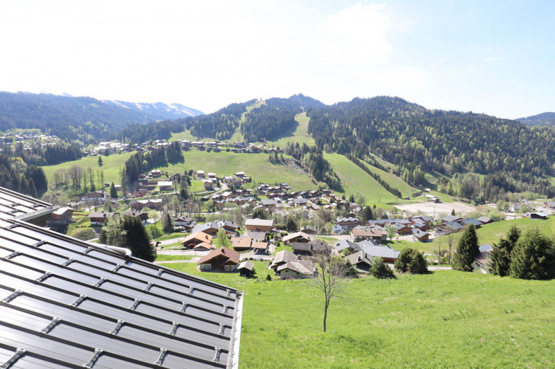 _lv_images__lot_0109021825_10_17650149 _lv_images__lot_0109021825_10_17650149