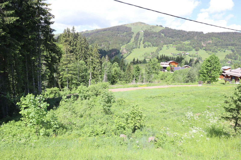 _lv_images__lot_0109021997_13_18145729 _lv_images__lot_0109021997_13_18145729