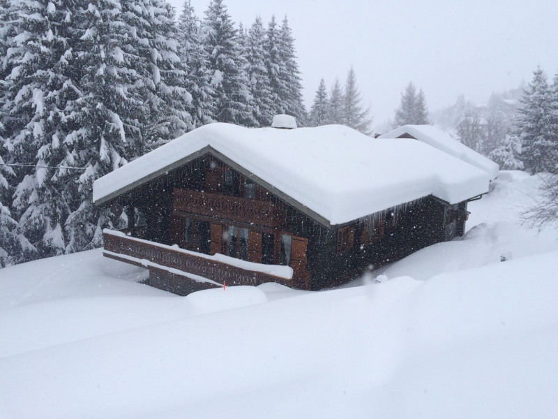 _lv_images__lot_0109021997_15_18494568 _lv_images__lot_0109021997_15_18494568