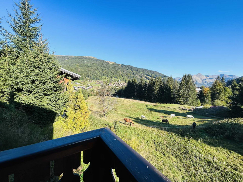 _lv_images__lot_0109022071_14_17886392 _lv_images__lot_0109022071_14_17886392