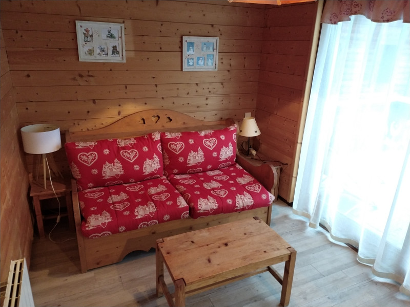 Ambre-Chery-sejour-location-appartement-chalet-Les-Gets