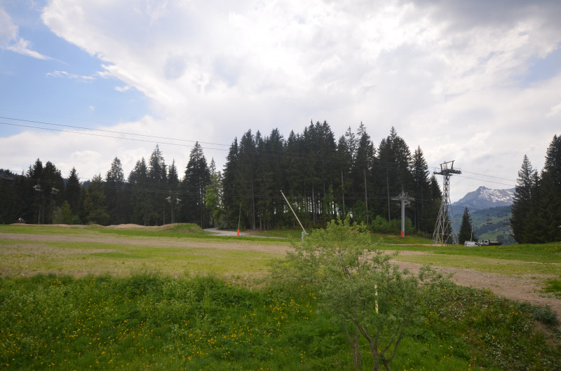 Atout-coeur-vue-ete-location-appartement-chalet-Les-Gets