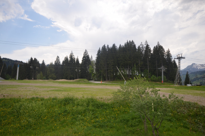 Atout-coeur-vue-ete-location-appartement-chalet-Les-Gets