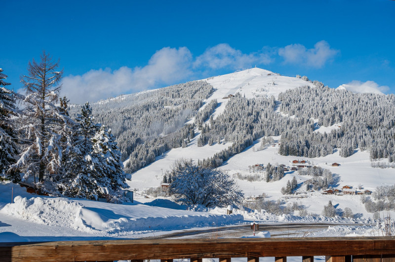 atray-extérieur-vue-appartement-chalet-Les-Gets